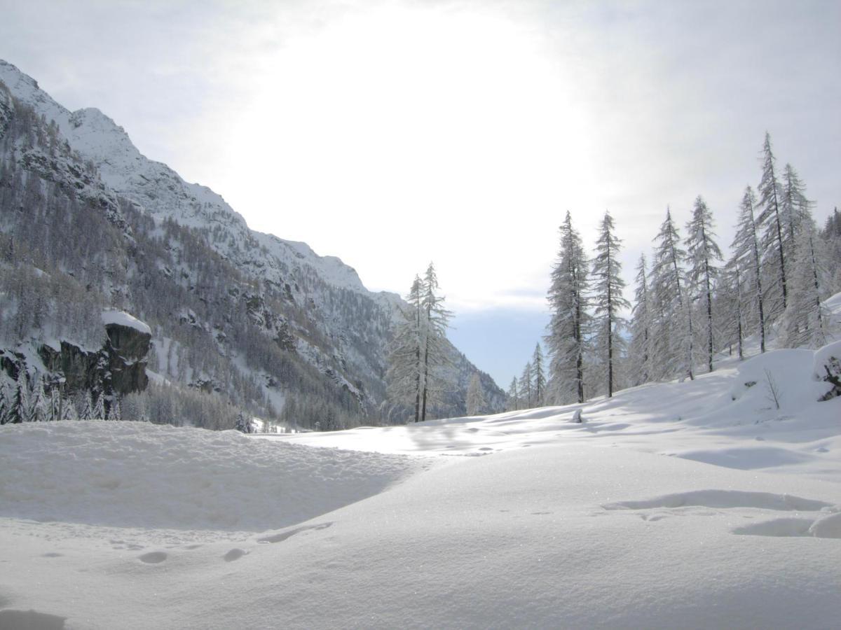 Residence Oberteil Gressoney-la-Trinité Exterior foto