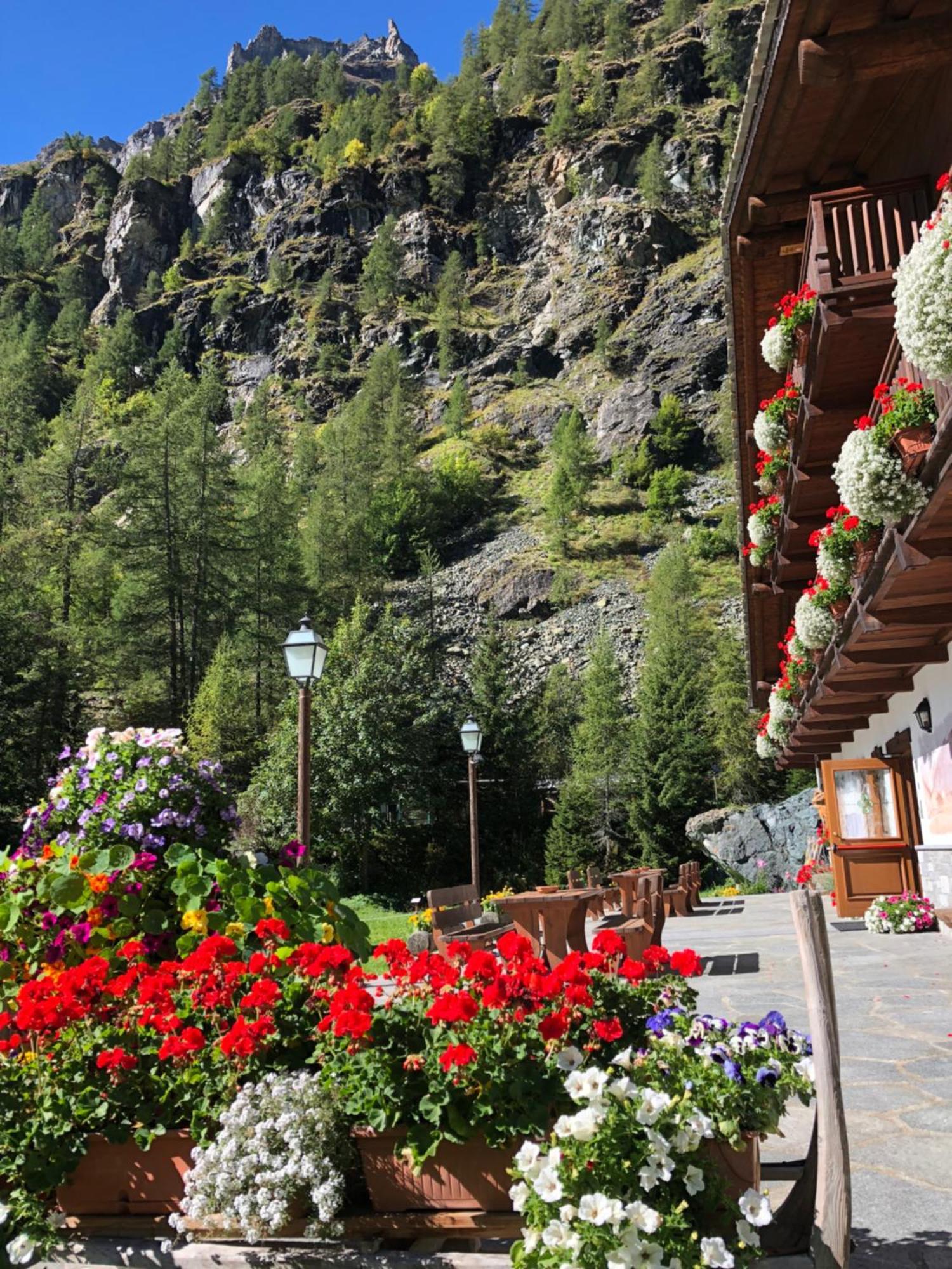 Residence Oberteil Gressoney-la-Trinité Exterior foto